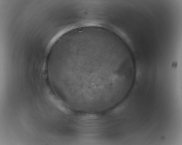 X0000114661174200910201524