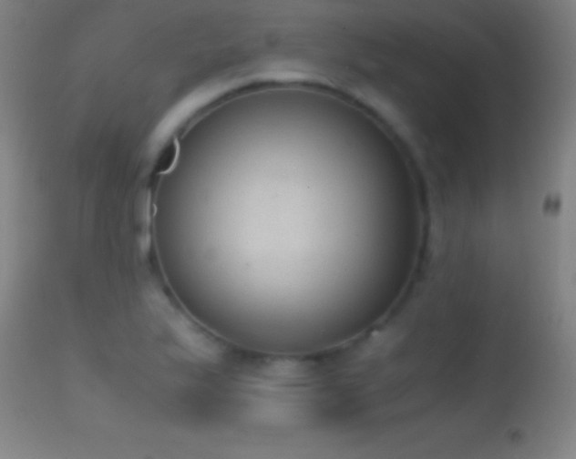 X0000114661175200910201524