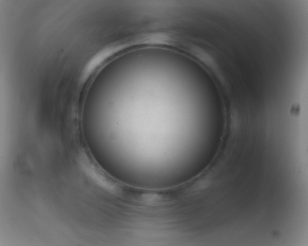 X0000114661176200910201524