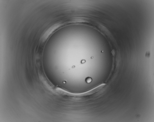 X0000114661177200910201524