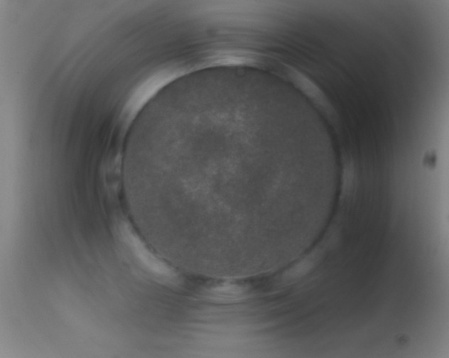 X0000114661178200910201524