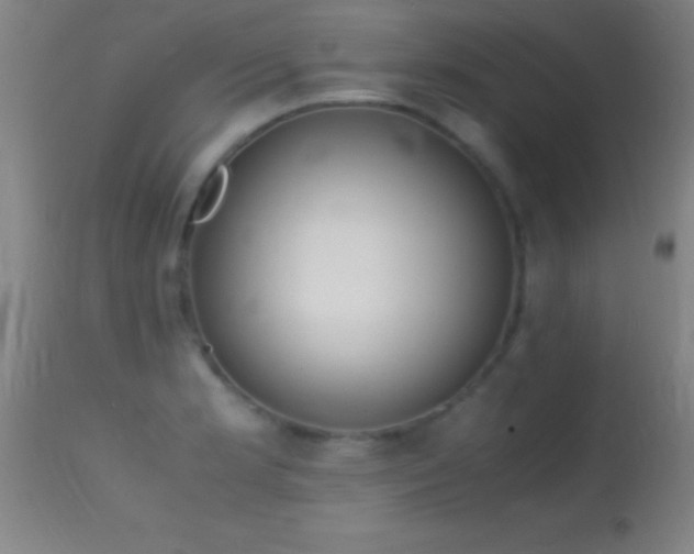 X0000114661181200910201524