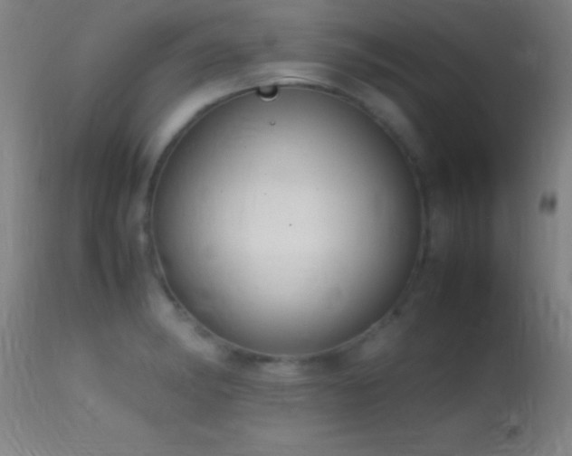 X0000114661182200910201524