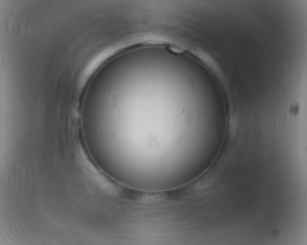 X0000114661183200910201524