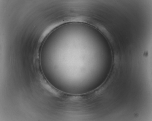 X0000114661184200910201524