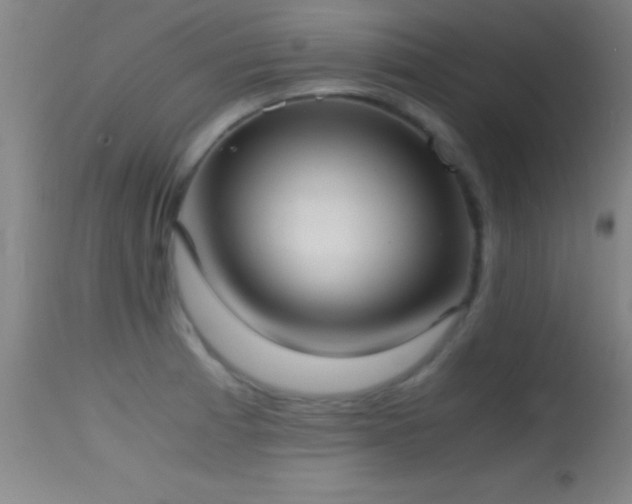 X0000114661185200910201524