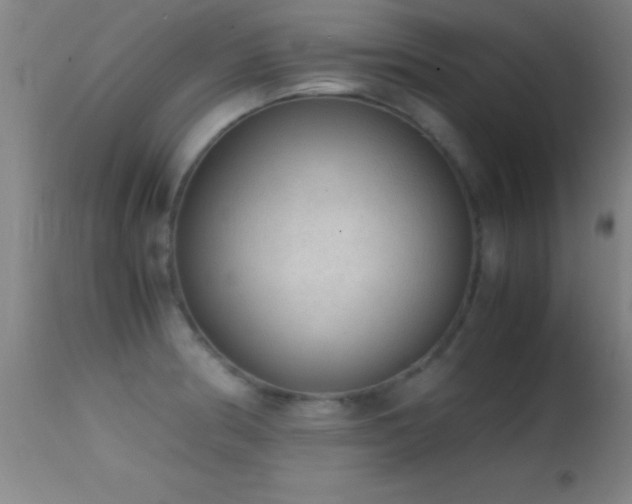 X0000114661186200910201524