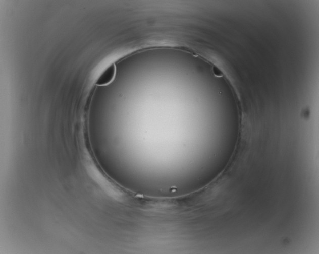 X0000114661187200910201524