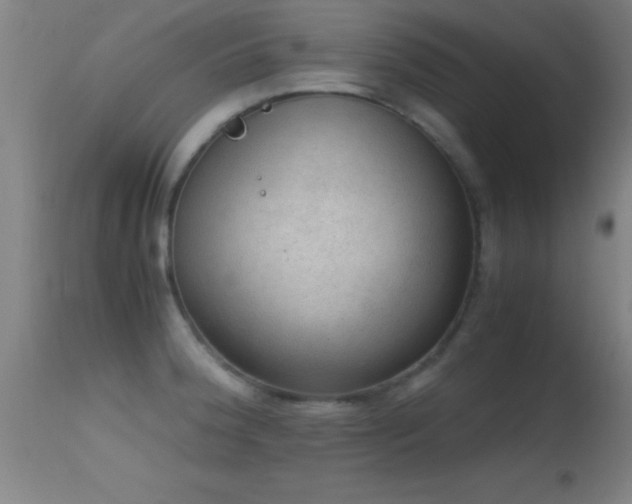 X0000114661188200910201524