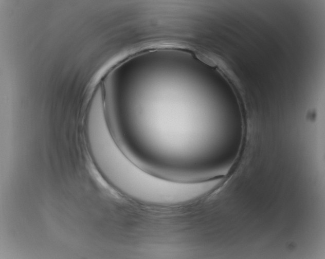 X0000114661189200910201524