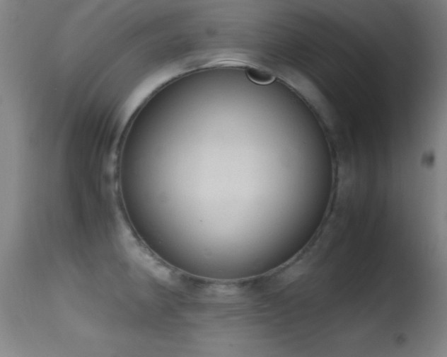 X0000114661190200910201524