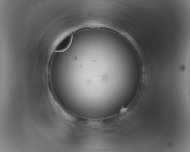 X0000114661191200910201524