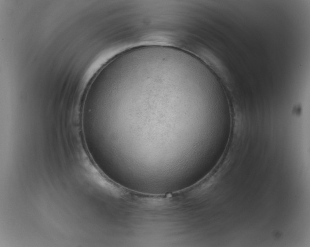 X0000114661192200910201524