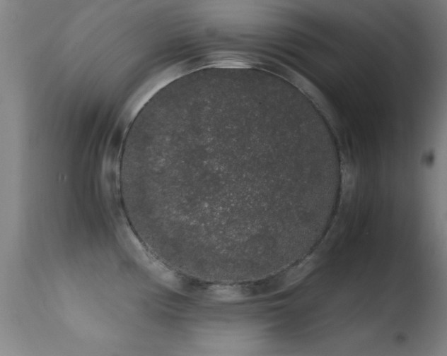 X0000114661194200910201524