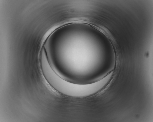 X0000114661196200910201524