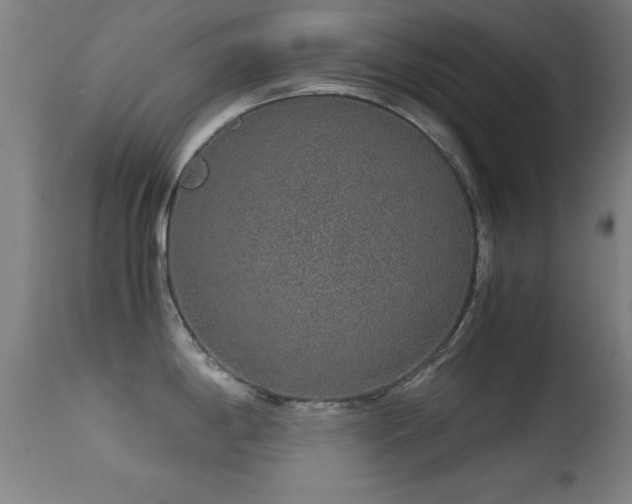 X0000114661198200910201524