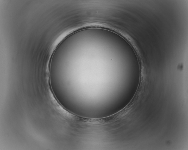 X0000114661199200910201524