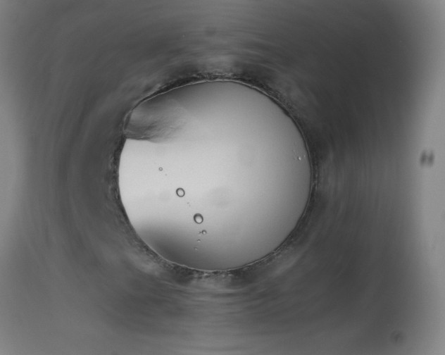 X0000114661201200910201523