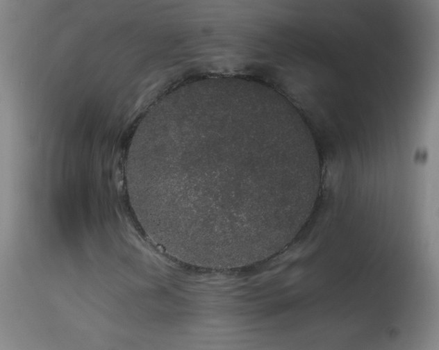 X0000114661202200910201523