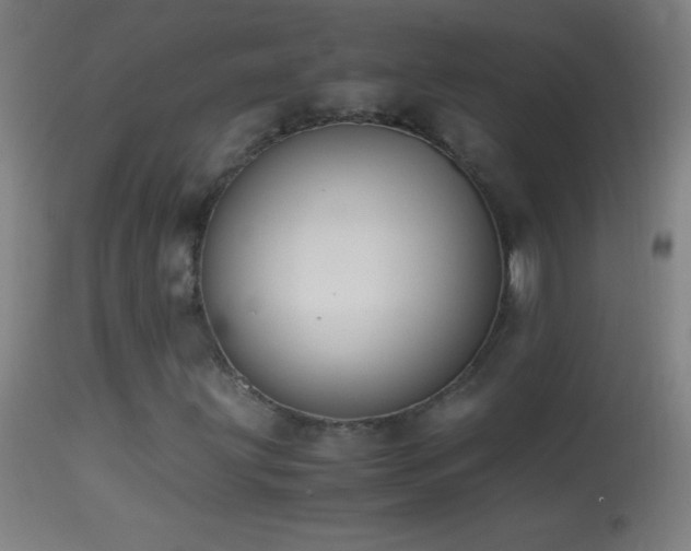 X0000114661203200910201523