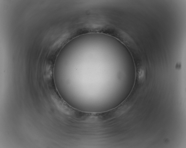 X0000114661204200910201523