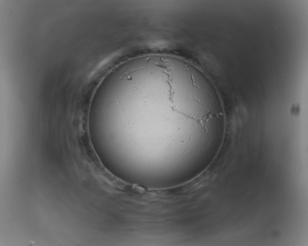 X0000114661205200910201523