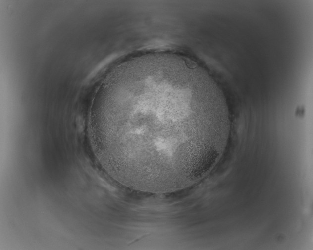 X0000114661206200910201523