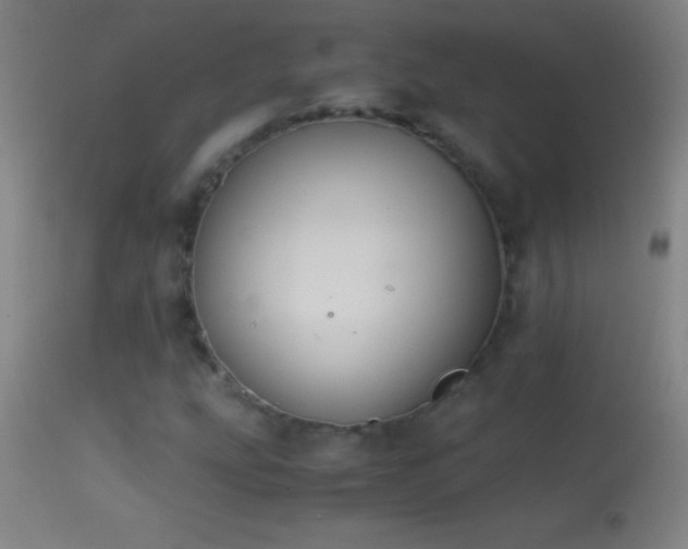 X0000114661207200910201523