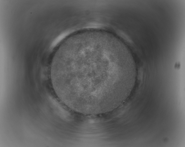 X0000114661208200910201523