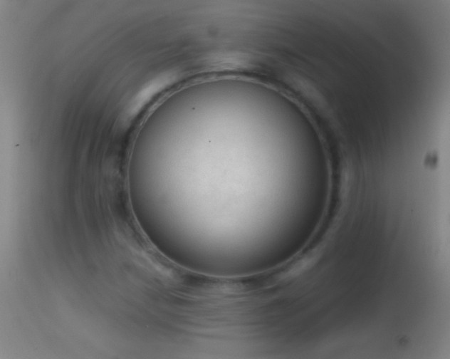 X0000114661210200910201523