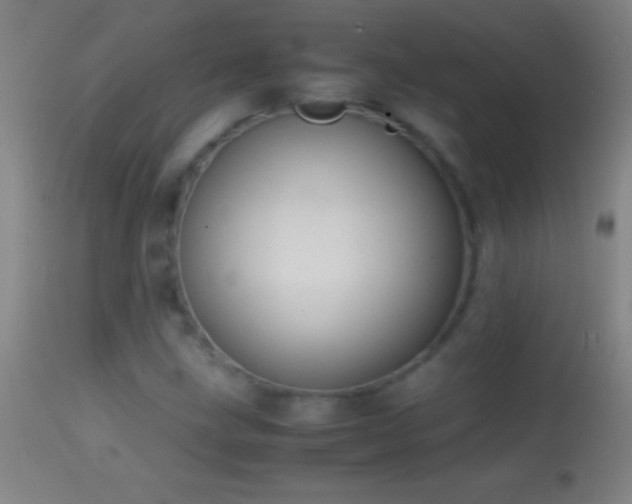 X0000114661211200910201523