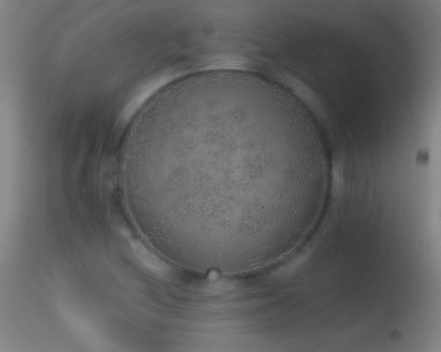 X0000114661212200910201523