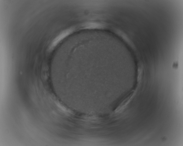 X0000114661213200910201523