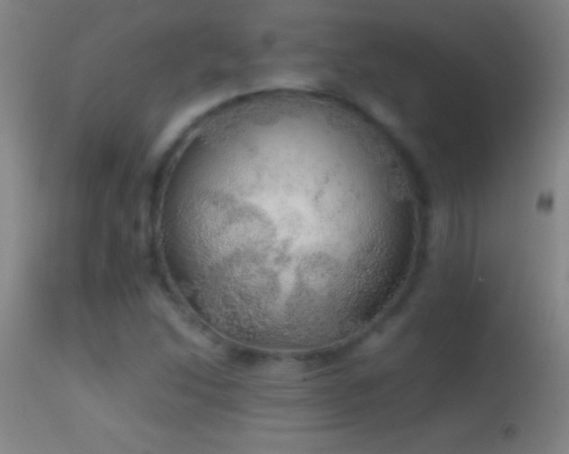 X0000114661214200910201523