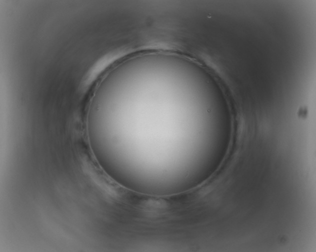 X0000114661215200910201523