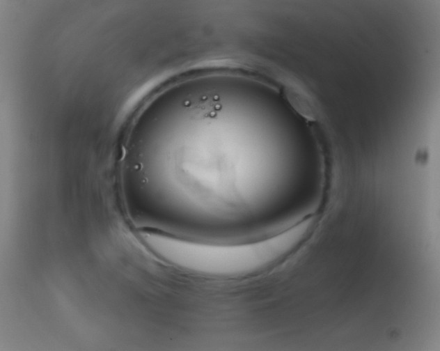 X0000114661216200910201523