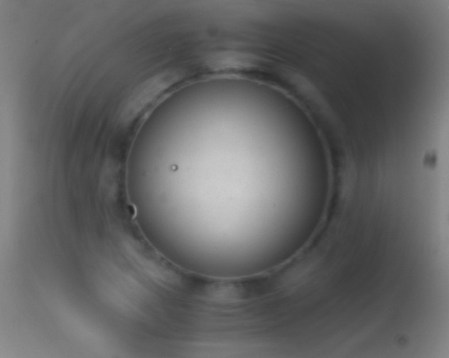 X0000114661217200910201523