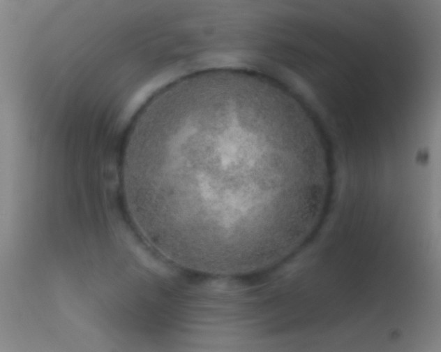 X0000114661218200910201523