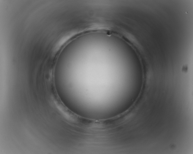 X0000114661220200910201523