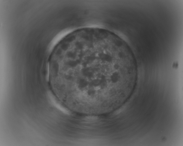 X0000114661223200910201523