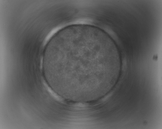 X0000114661224200910201523