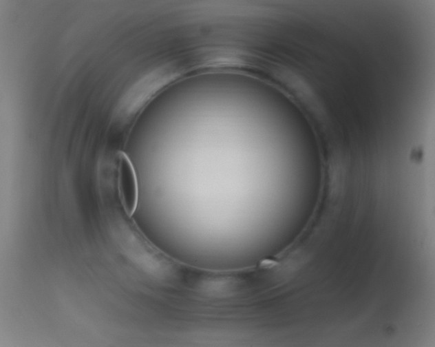 X0000114661225200910201523