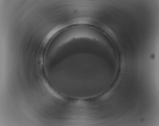 X0000114661226200910201523