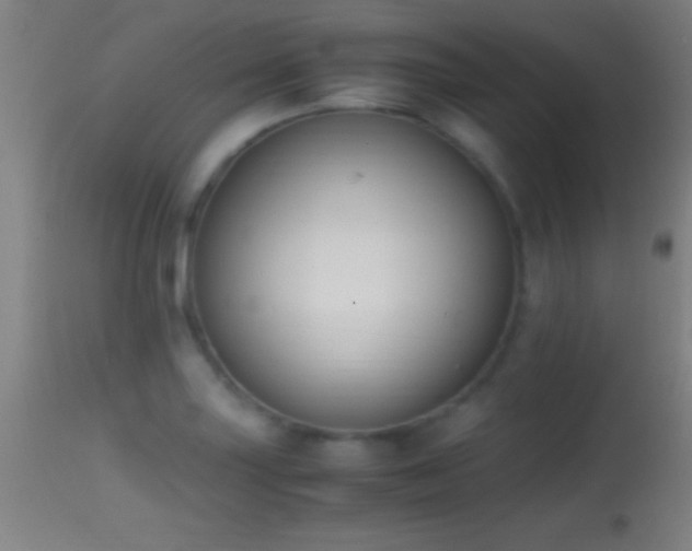 X0000114661227200910201523