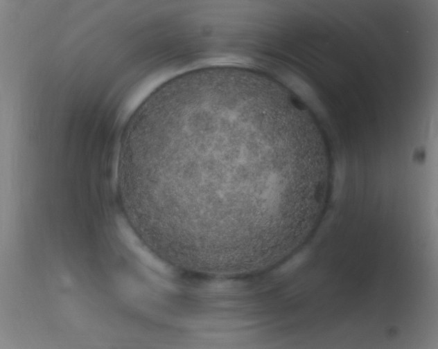 X0000114661228200910201523