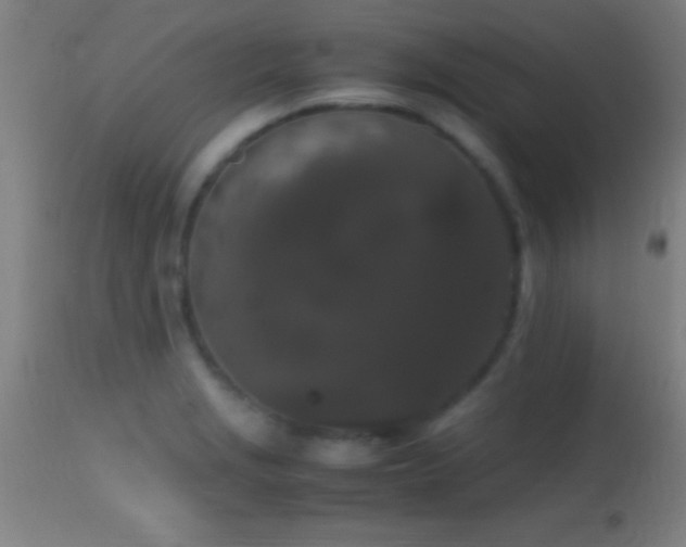 X0000114661229200910201523