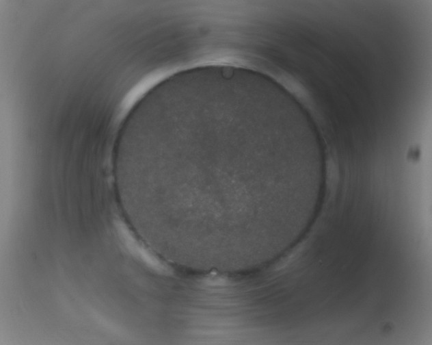 X0000114661230200910201523