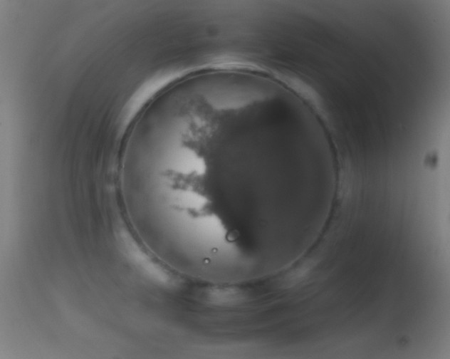 X0000114661231200910201523