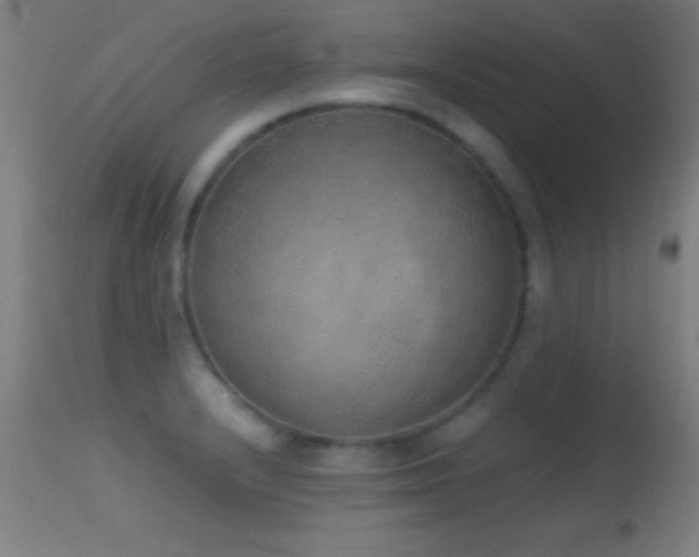 X0000114661232200910201523