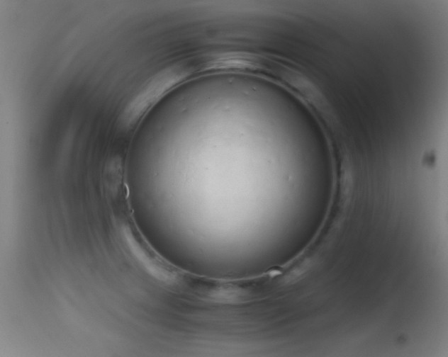 X0000114661233200910201523